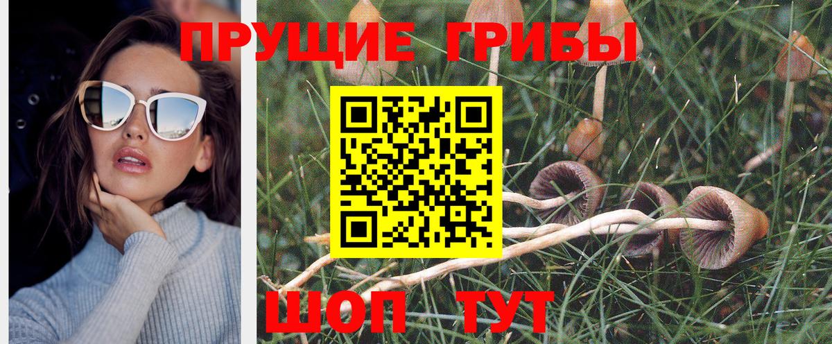 цена наркотик  Галлюциногенные грибы Cubensis  Вход с VPN  Миасс  Галлюциногенные грибы MAGIC MUSHROOMS 